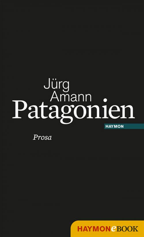Cover of the book Patagonien by Jürg Amann, Haymon Verlag