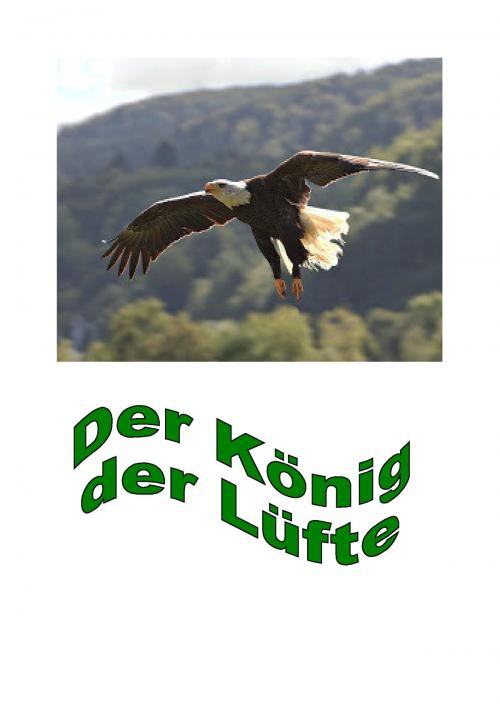 Cover of the book Der König der Lüfte by Joachim Schneider, Books on Demand
