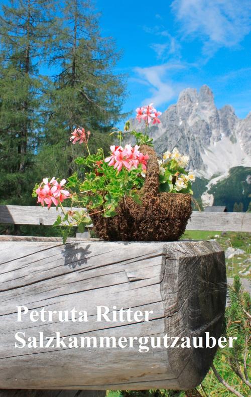 Cover of the book Salzkammergutzauber by Petruta Ritter, Books on Demand