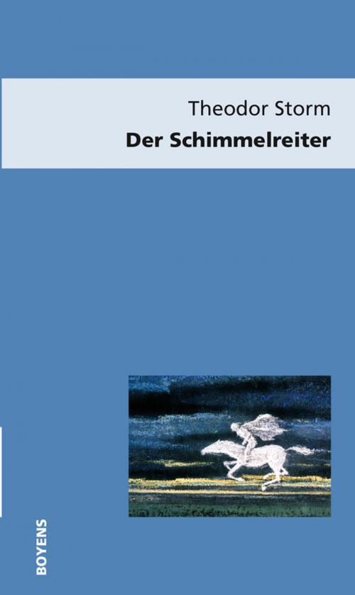 Cover of the book Der Schimmelreiter by Theodor Storm, Boyens Buchverlag