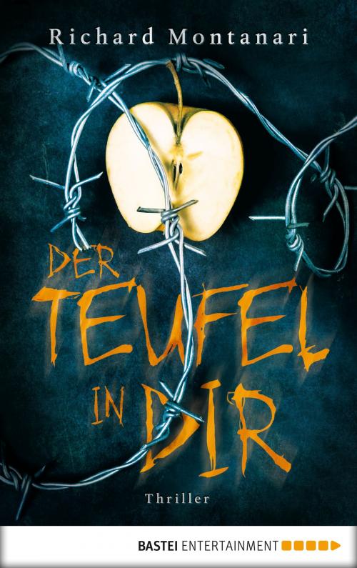 Cover of the book Der Teufel in dir by Richard Montanari, Bastei Entertainment