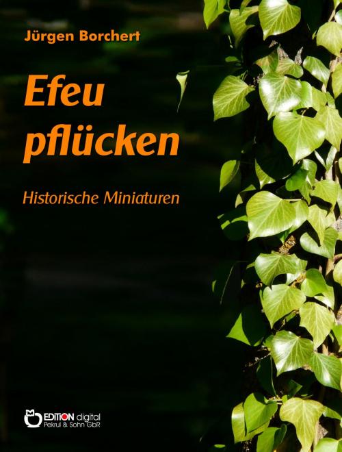 Cover of the book Efeu pflücken by Jürgen Borchert, EDITION digital