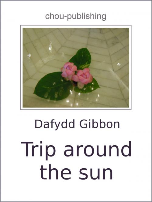 Cover of the book Trip around the sun by Dafydd Gibbon, chou-publishing