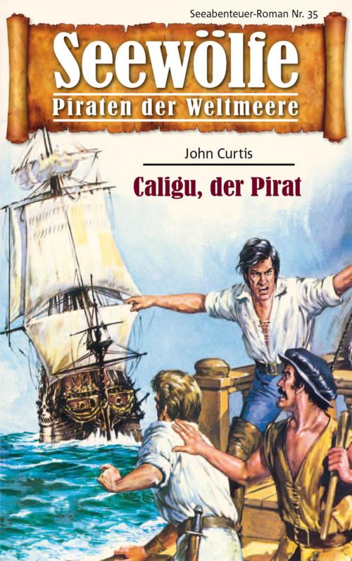 Cover of the book Seewölfe - Piraten der Weltmeere 35 by John Curtis, Pabel eBooks