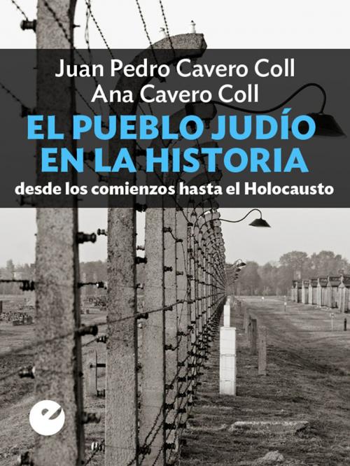 Cover of the book El pueblo judío en la historia by Juan Pedro Cavero Coll, Ana María Cavero Coll, Punto de Vista