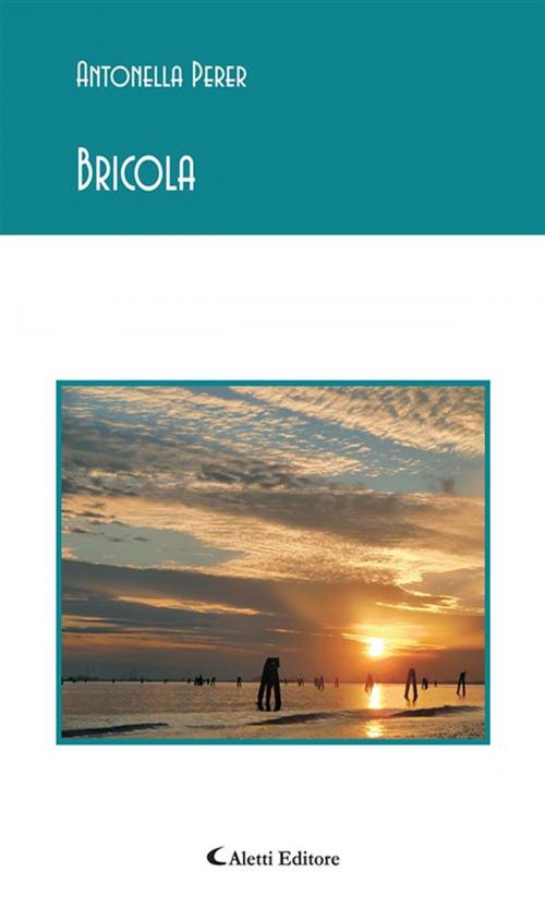 Cover of the book Bricola by Antonella Perer, Aletti Editore