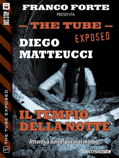 Cover of the book Il tempio della notte by Diego Matteucci, Delos Digital