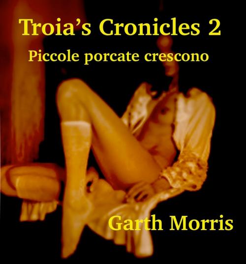 Cover of the book Troia's cronicles. piccole porcate crescono. by Garth Morris, Garth Morris
