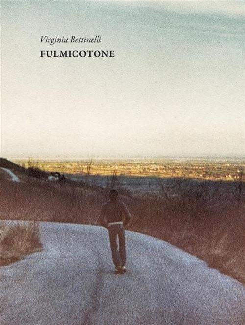 Cover of the book Fulmicotone by Virginia Bettinelli, Virginia Bettinelli