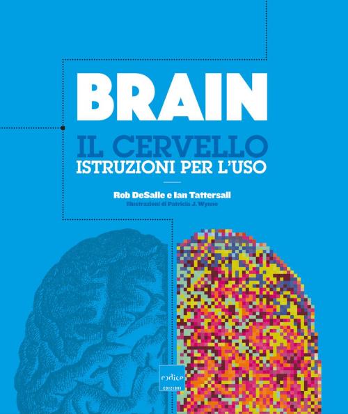 Cover of the book Brain. Il cervello. Istruzioni per l'uso by Rob DeSalle, Ian Tattersall, Codice Edizioni