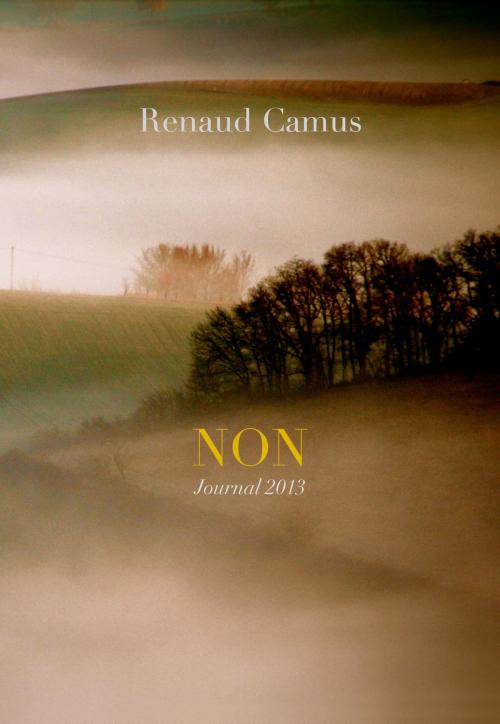 Cover of the book NON. Journal 2013 by Renaud Camus, Renaud Camus