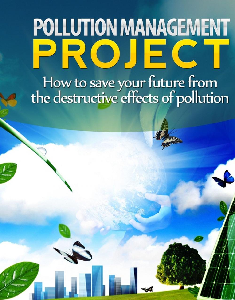 Big bigCover of Pollution Management Project