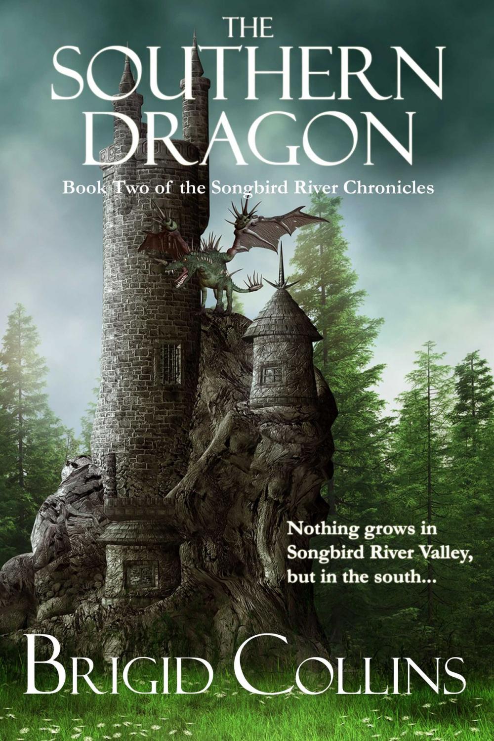 Big bigCover of The Southern Dragon