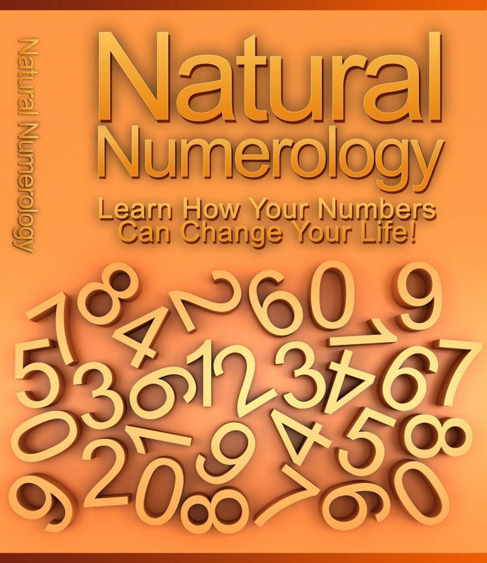 Big bigCover of Natural Numerology