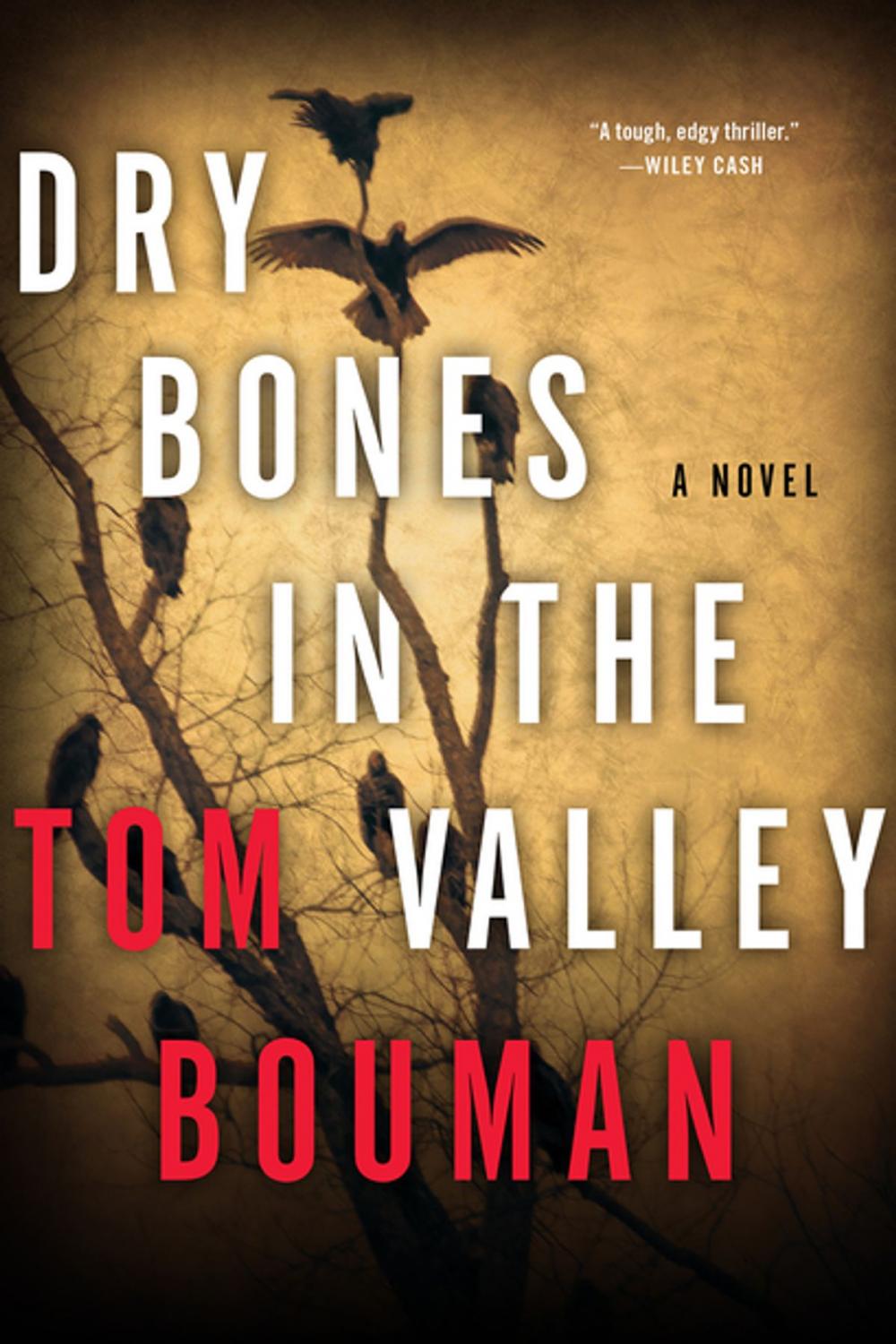 Big bigCover of Dry Bones in the Valley: A Henry Farrell Novel (The Henry Farrell Series)