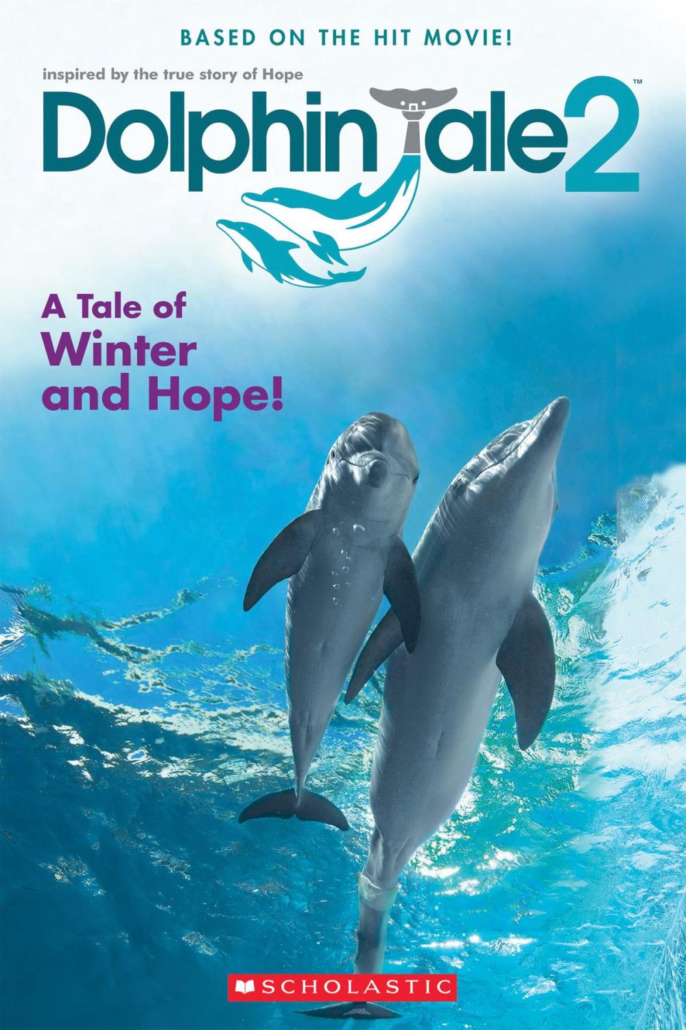 Big bigCover of Dolphin Tale 2: Movie Reader