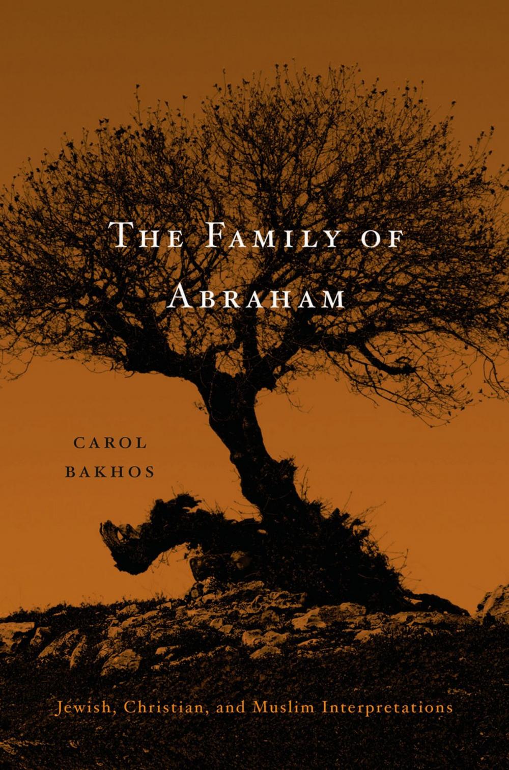 Big bigCover of The Family of Abraham