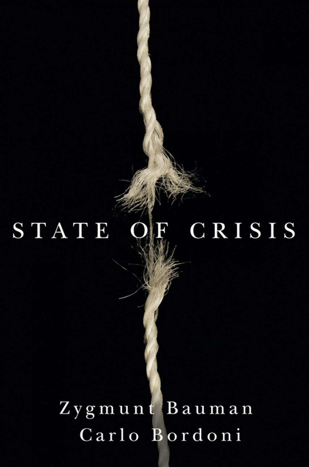Big bigCover of State of Crisis