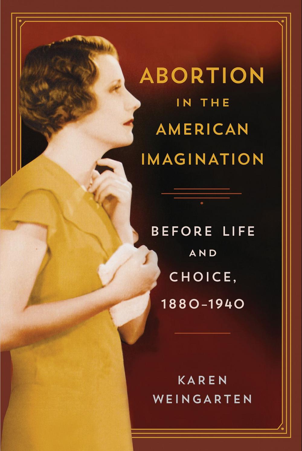 Big bigCover of Abortion in the American Imagination