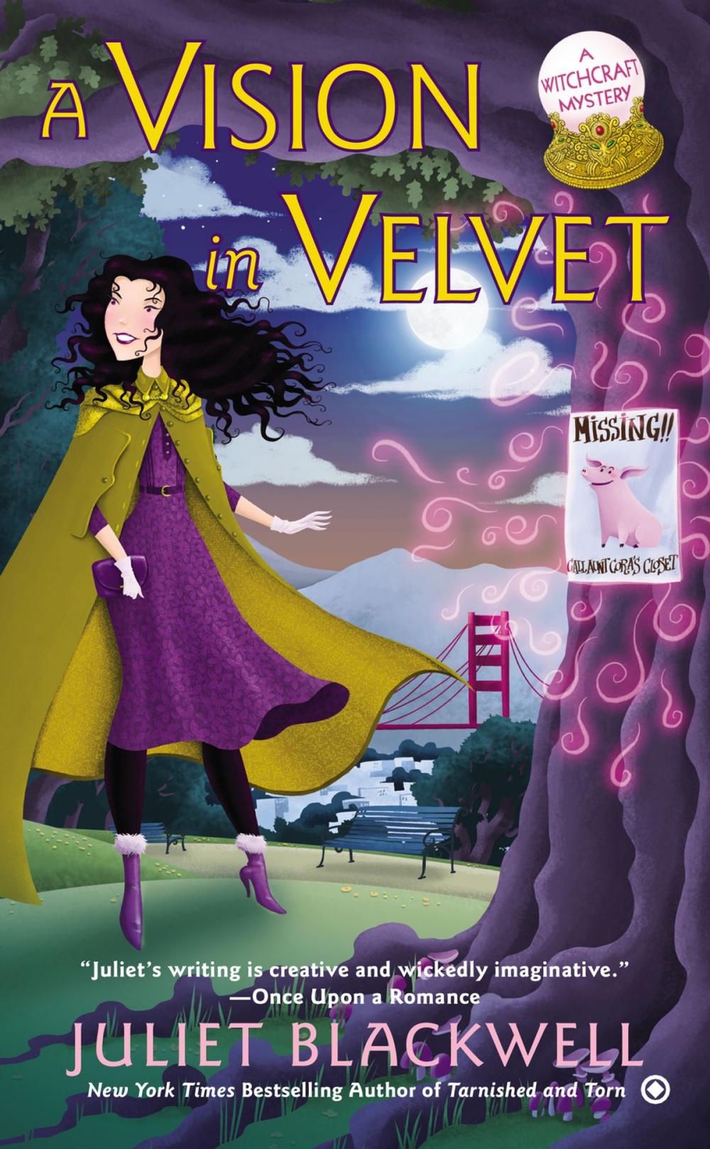 Big bigCover of A Vision in Velvet