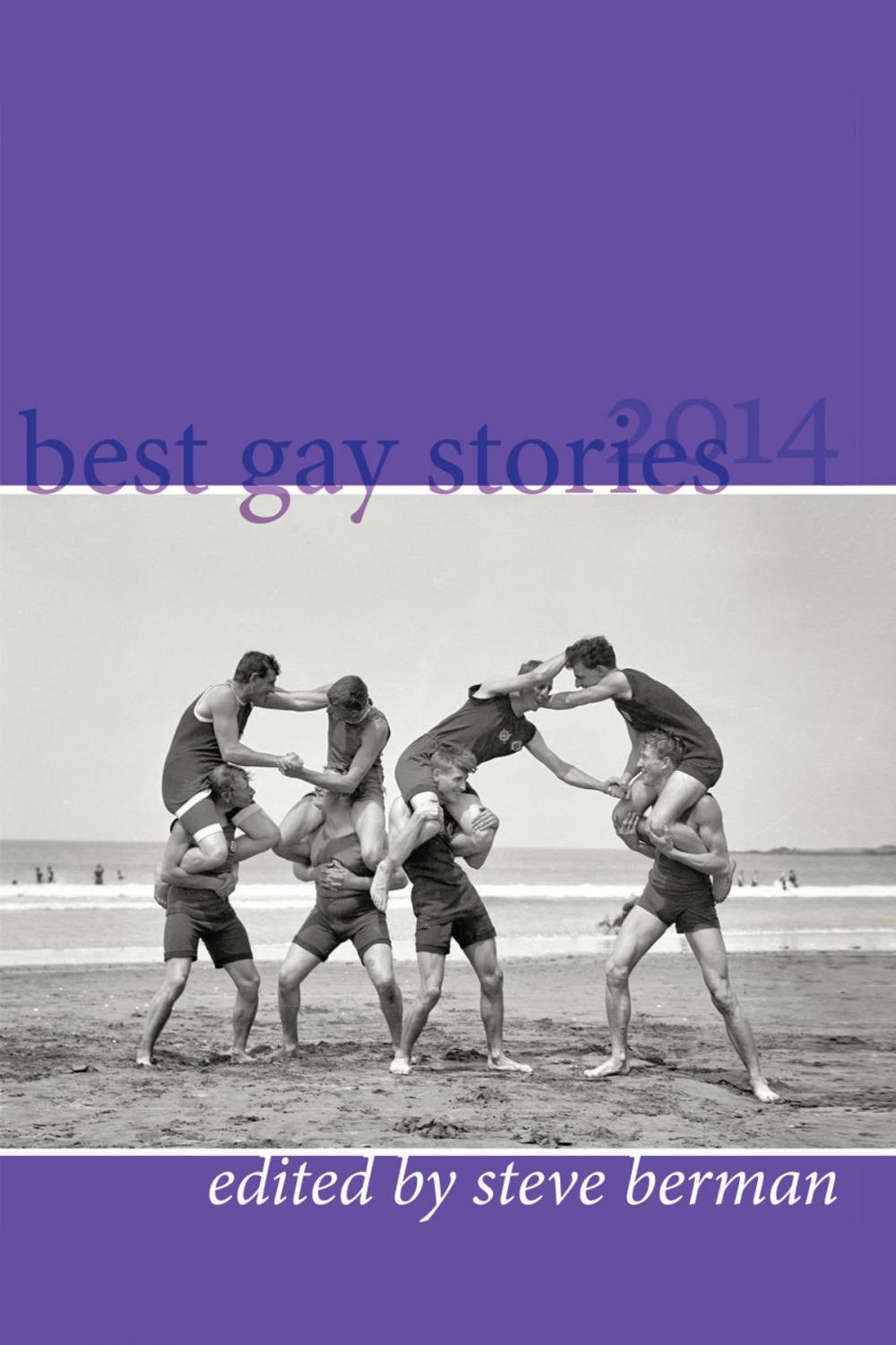Big bigCover of Best Gay Stories 2014