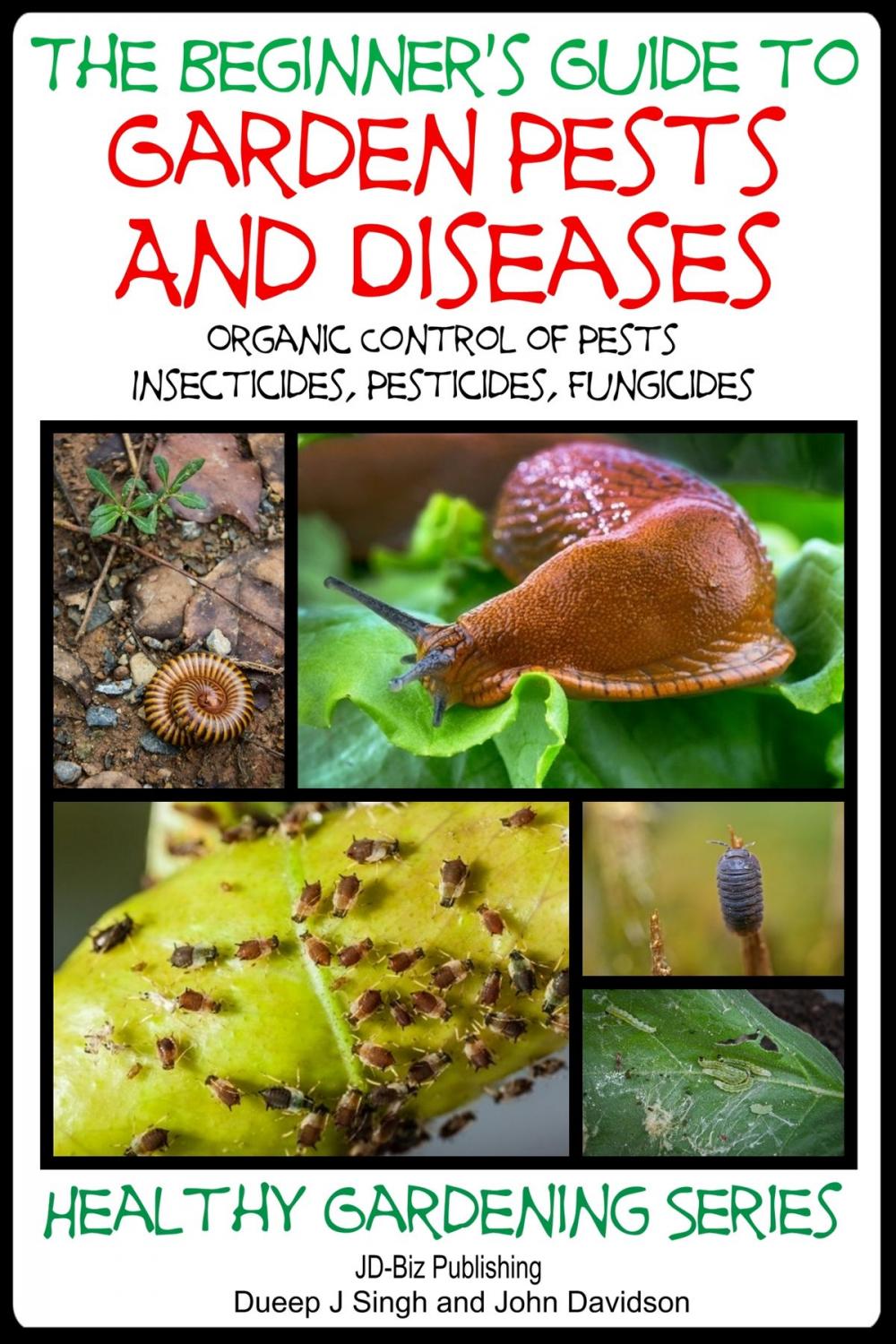 Big bigCover of A Beginner’s Guide to Garden Pests and Diseases