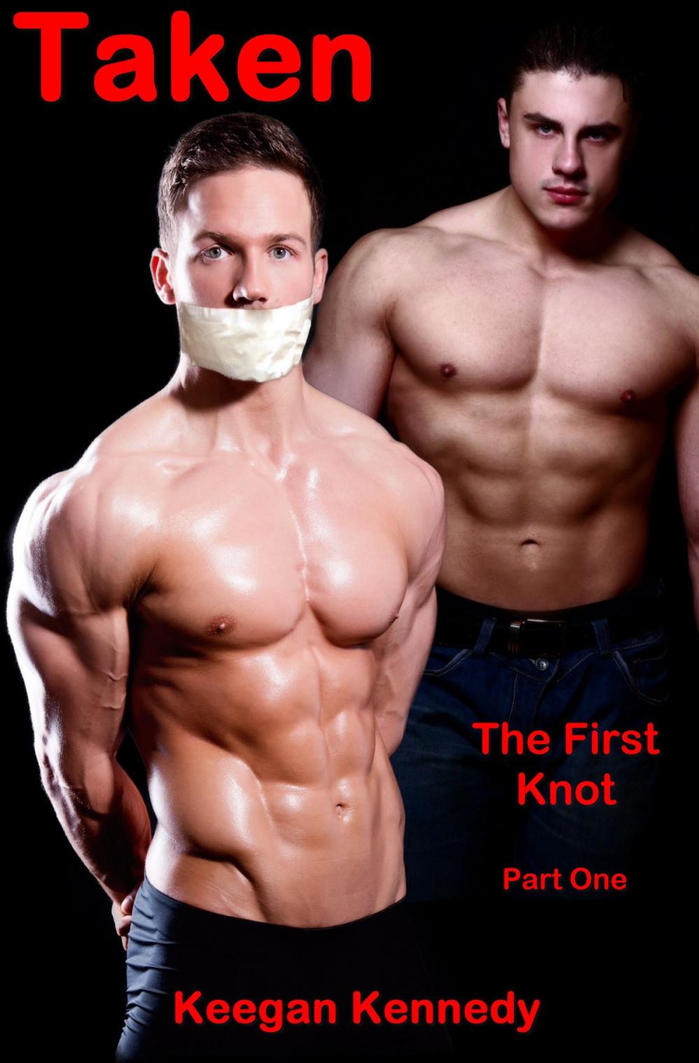 Big bigCover of Taken: The First Knot