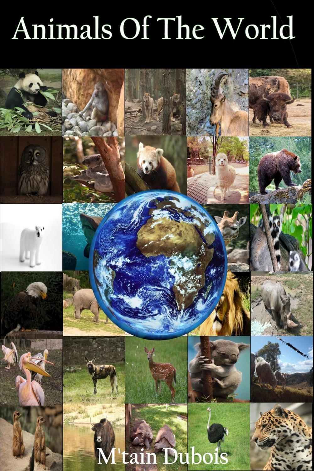 Big bigCover of Animals Of The World