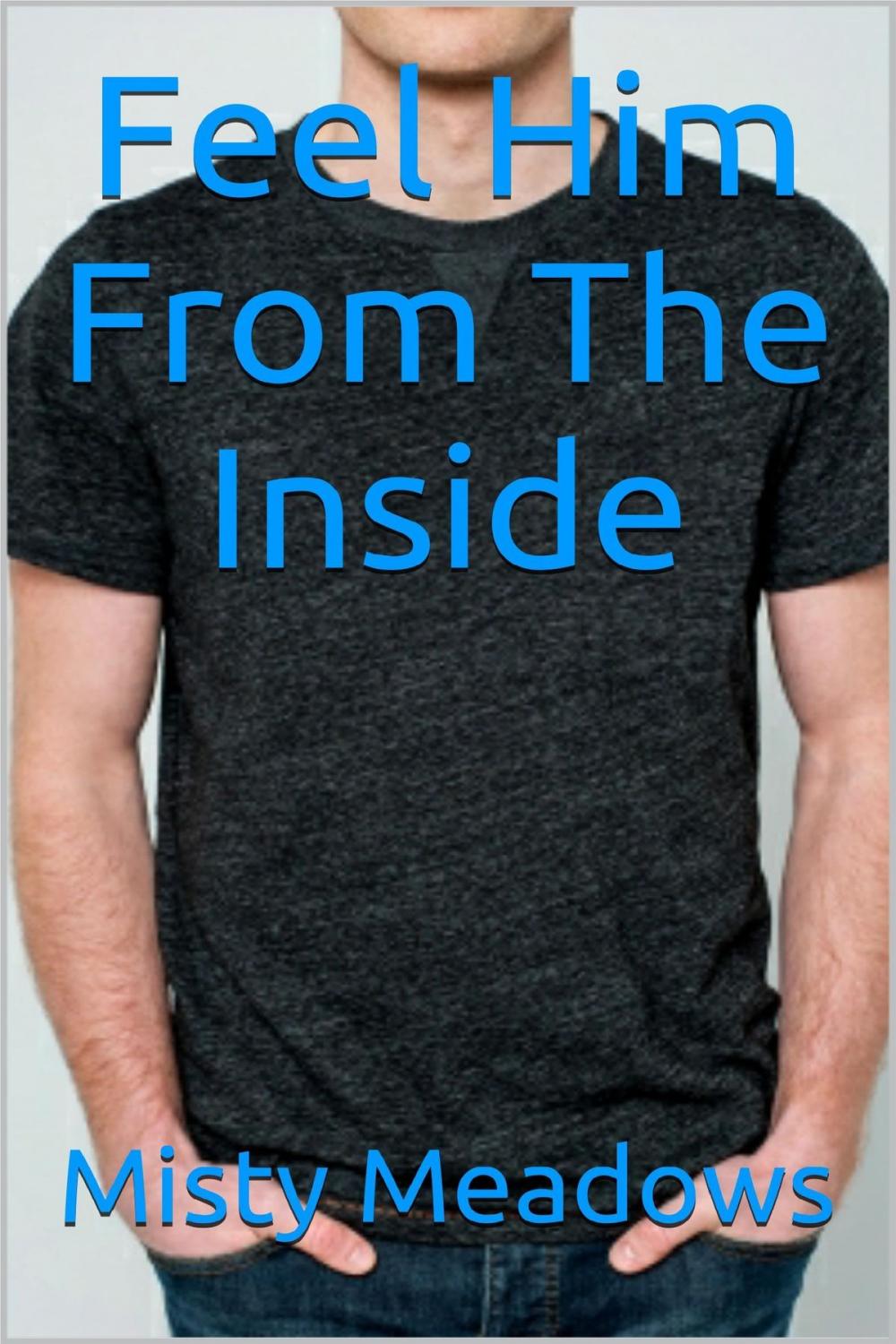 Big bigCover of Feel Him From The Inside (Gay Romance, First Time)