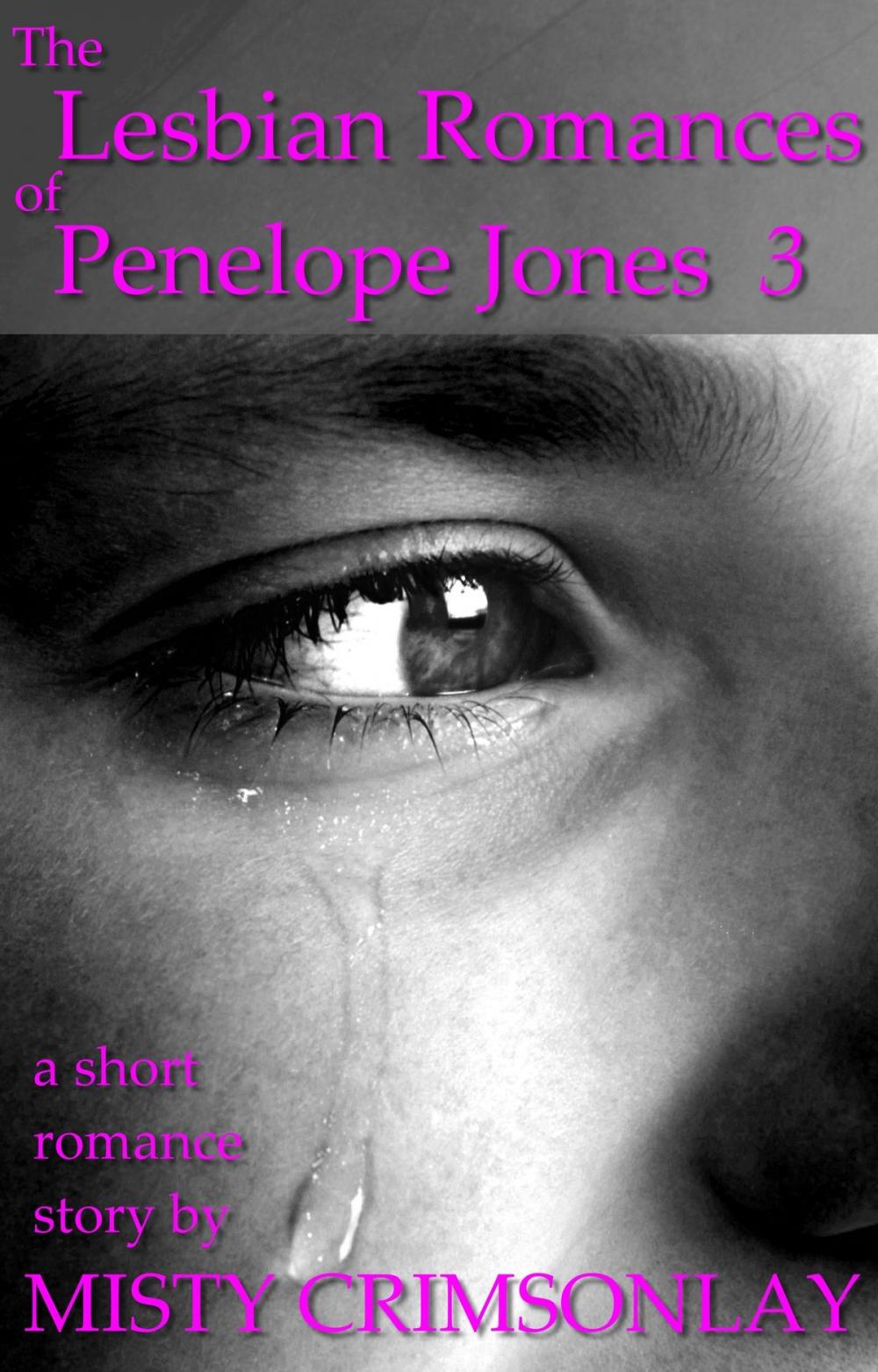 Big bigCover of The Lesbian Romances of Penelope Jones 3