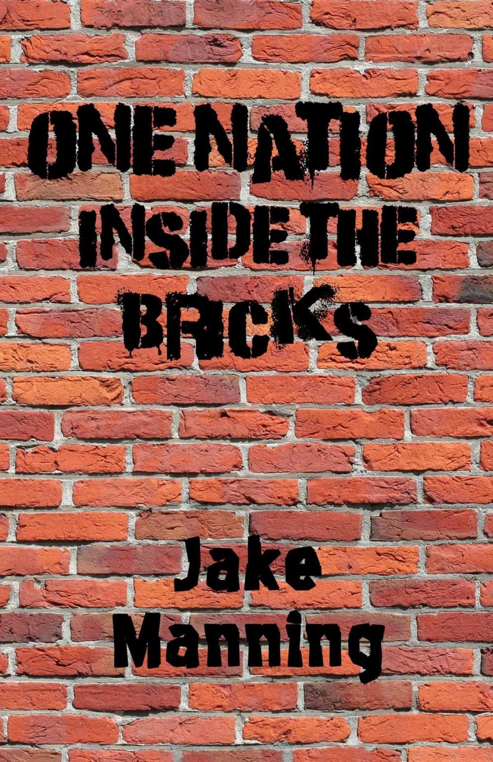 Big bigCover of One Nation Inside the Bricks