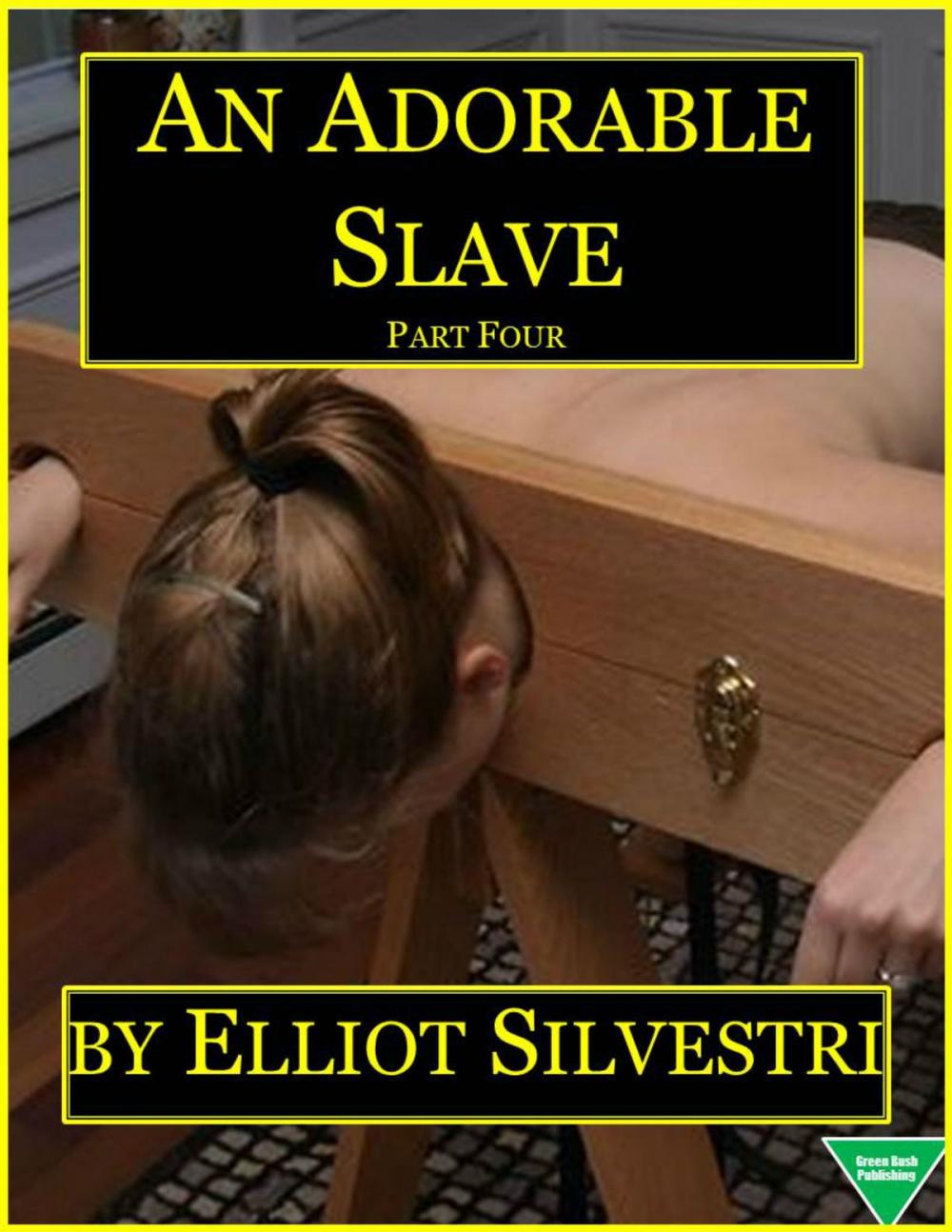 Big bigCover of An Adorable Slave (Part Four)