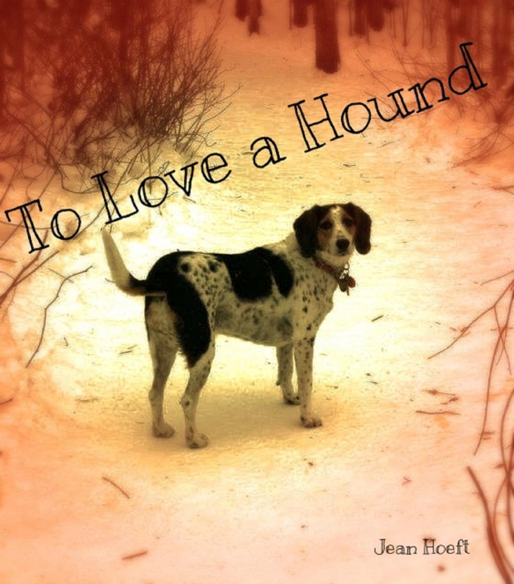 Big bigCover of To Love a Hound