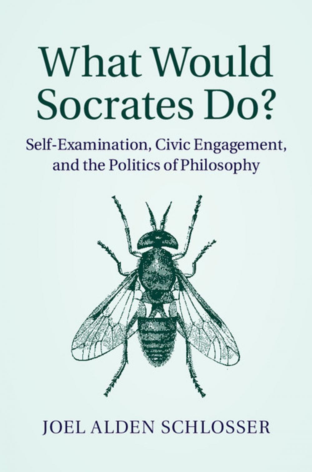 Big bigCover of What Would Socrates Do?