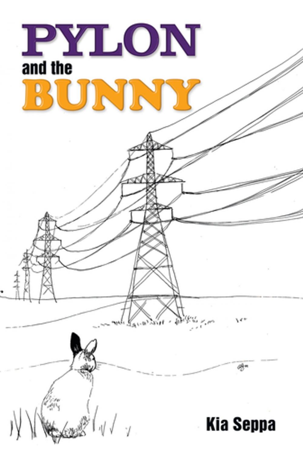 Big bigCover of Pylon and the Bunny