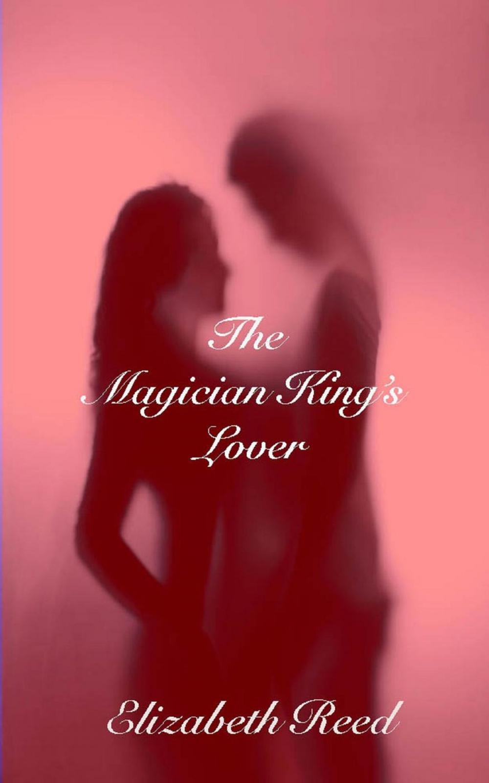 Big bigCover of The Magician King's Lover