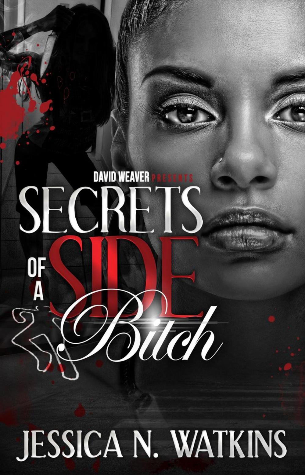 Big bigCover of Secrets of a Side Bitch (David Weaver Presents)