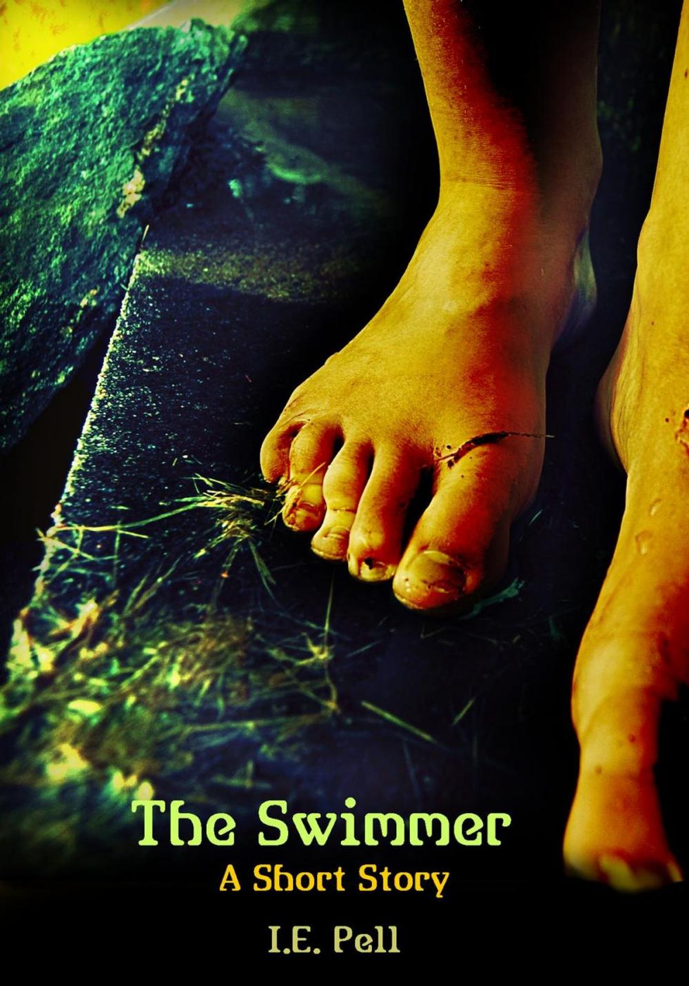 Big bigCover of The Swimmer (A Short Story)