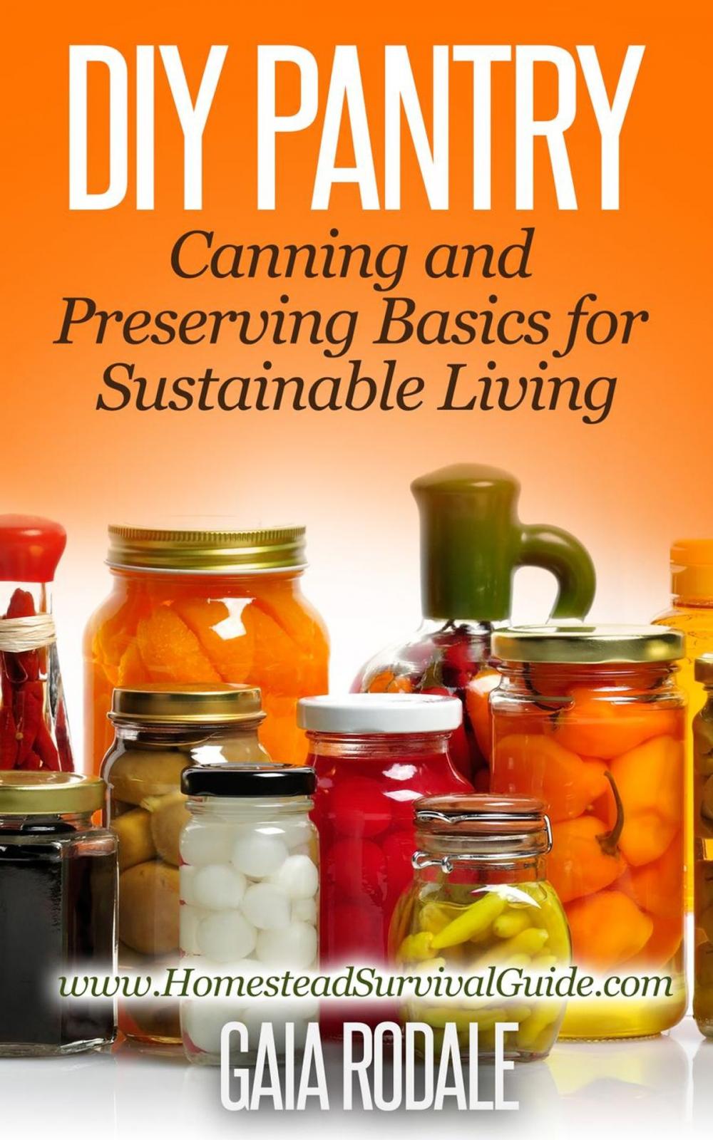 Big bigCover of DIY Pantry: Canning and Preserving Basics for Sustainable Living