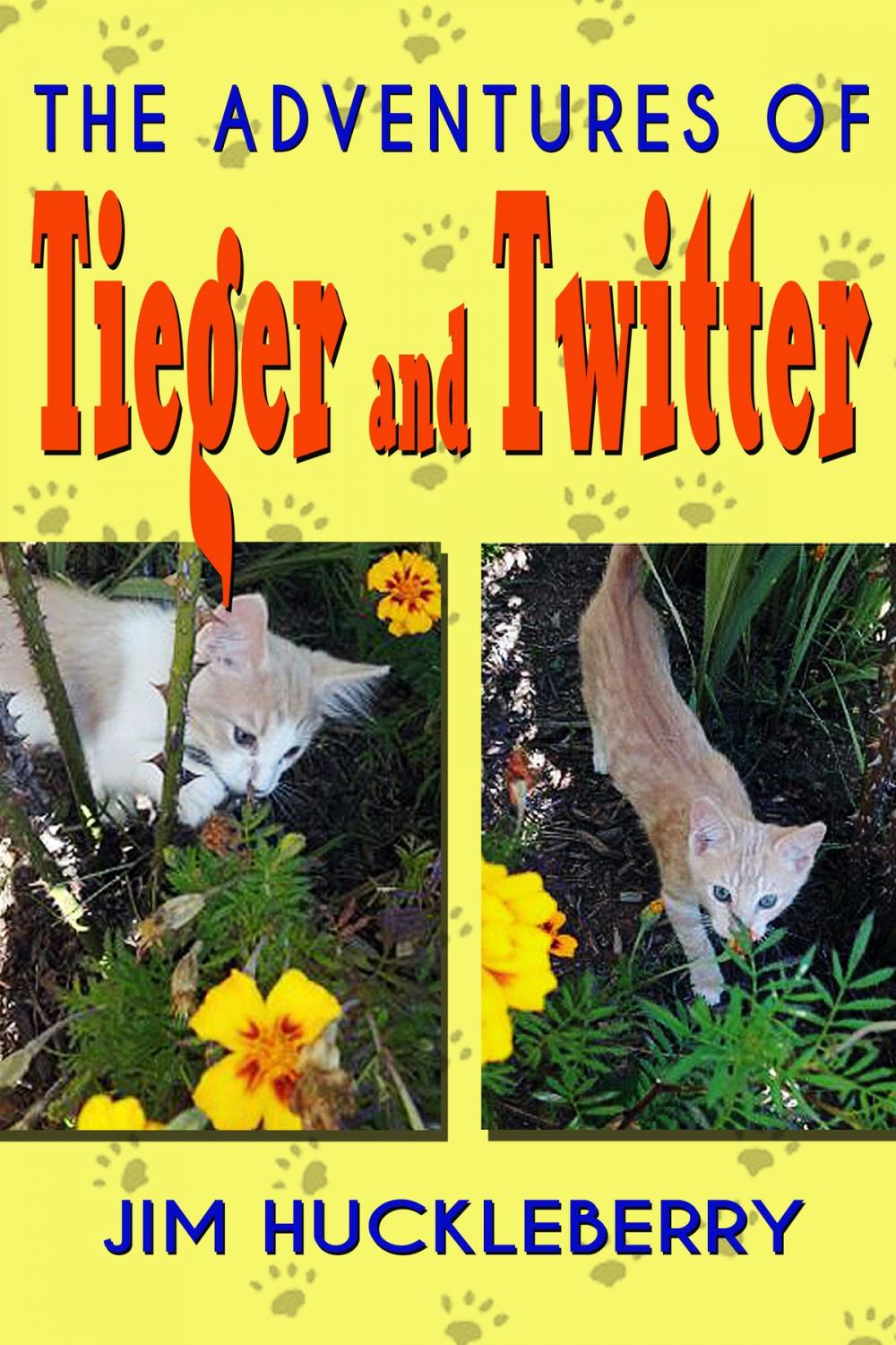 Big bigCover of The Adventures of Tieger and Twitter