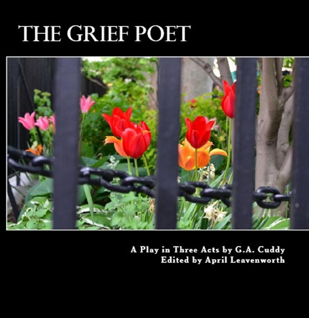 Big bigCover of The Grief Poet