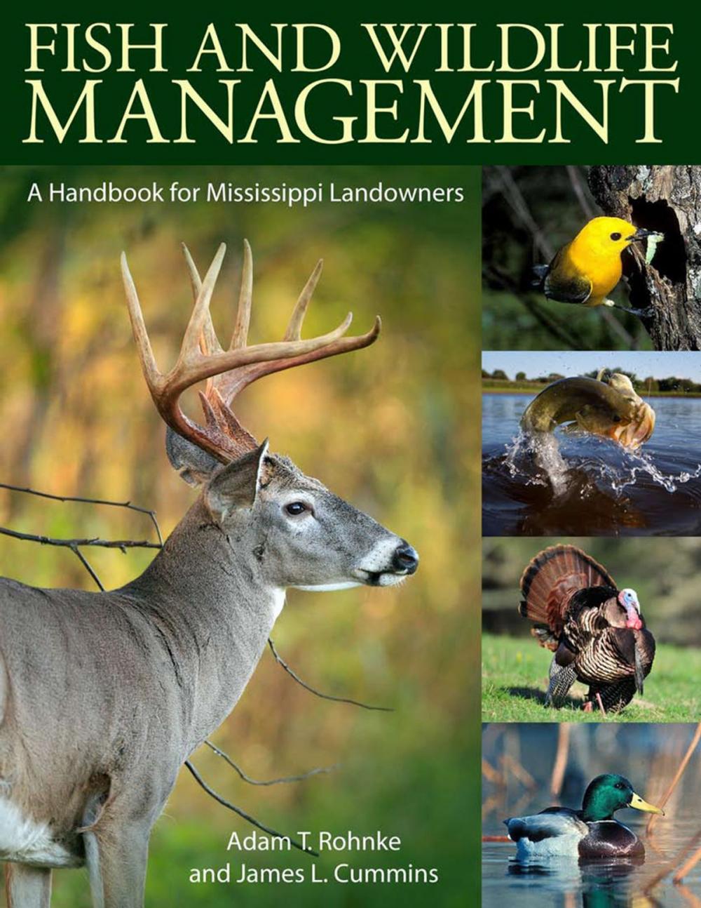 Big bigCover of Fish and Wildlife Management