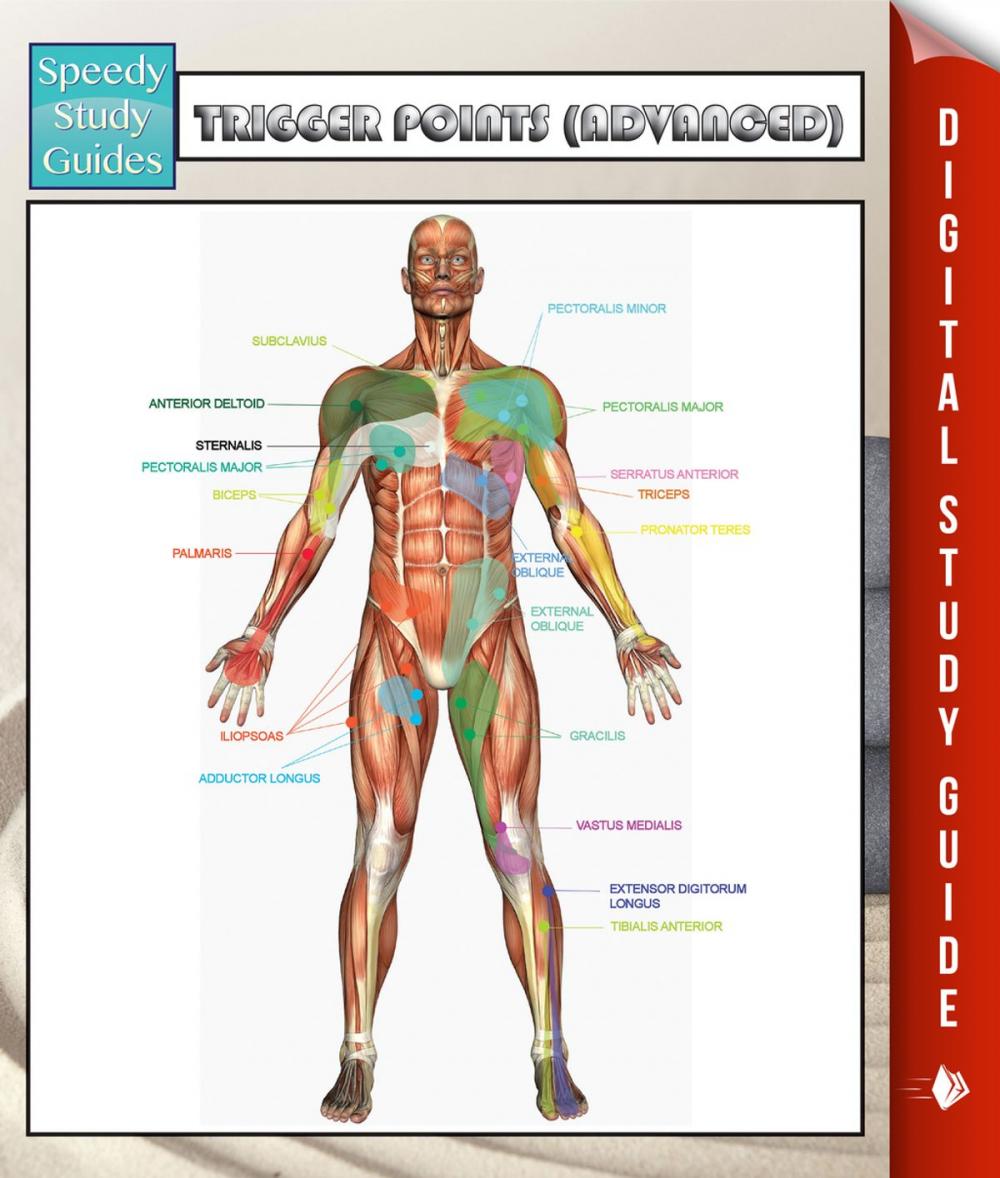 Big bigCover of Trigger Points (Advanced) Speedy Study Guides