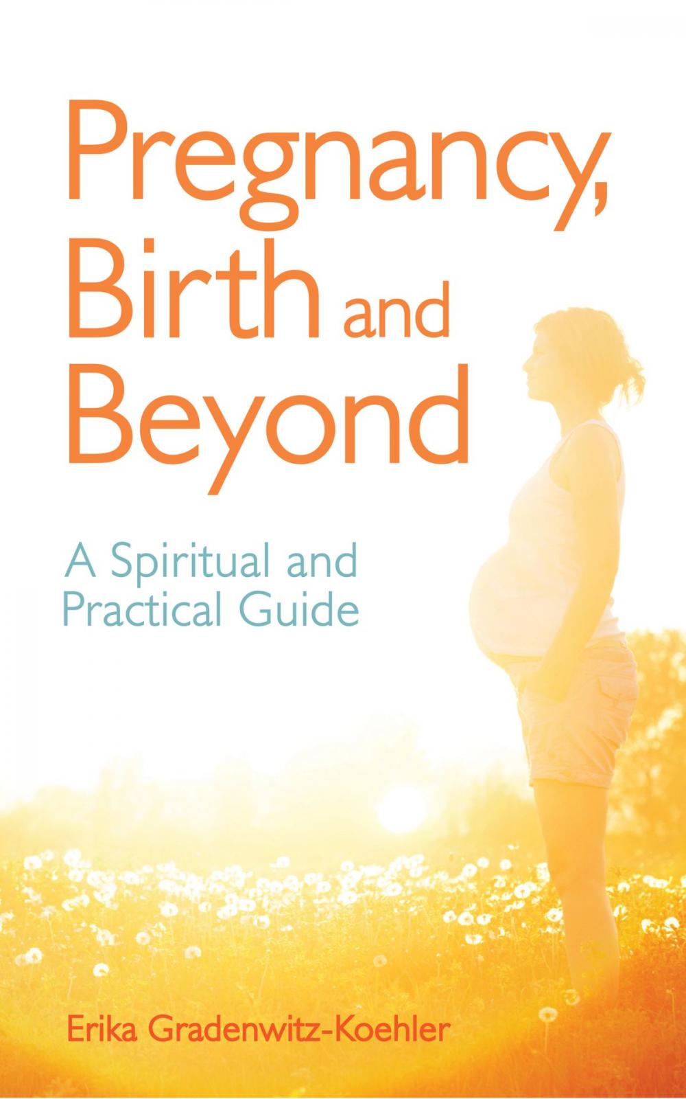 Big bigCover of Pregnancy, Birth and Beyond