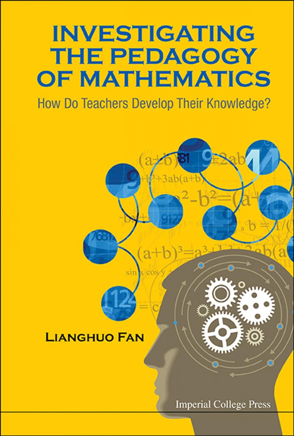 Big bigCover of Investigating the Pedagogy of Mathematics