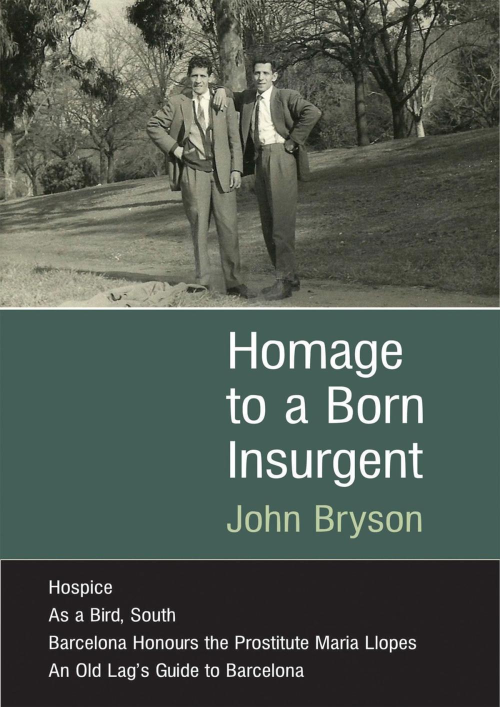 Big bigCover of Homage to a Born Insurgent