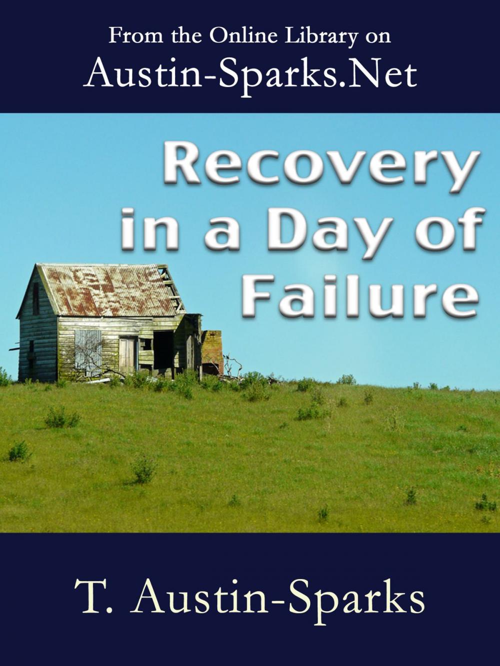 Big bigCover of Recovery in a Day of Failure