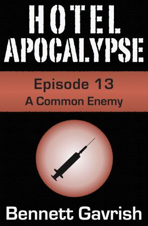 Book cover of Hotel Apocalypse #13: A Common Enemy