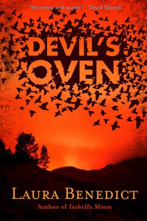 Cover of the book Devil's Oven by Philip Morrell
