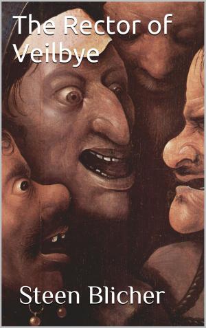 Cover of the book The Rector of Veilbye by John Abbott